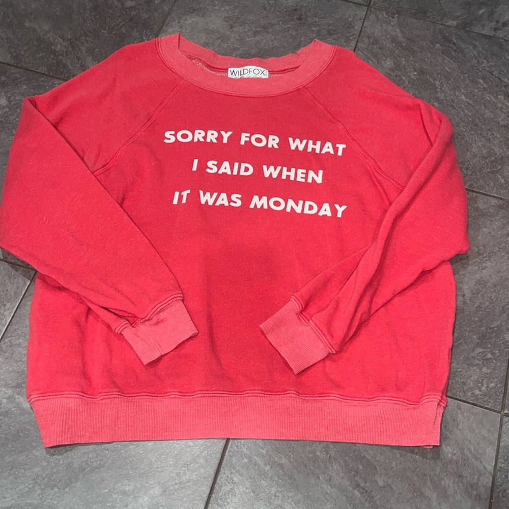 Wildfox sweatshirt